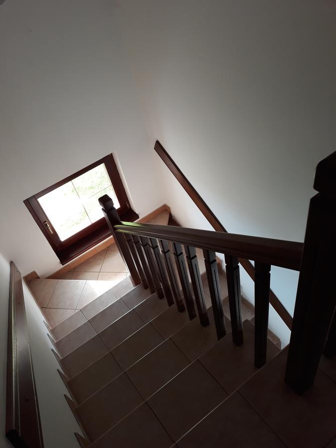 Apartments Markoni Златибор Екстериор снимка